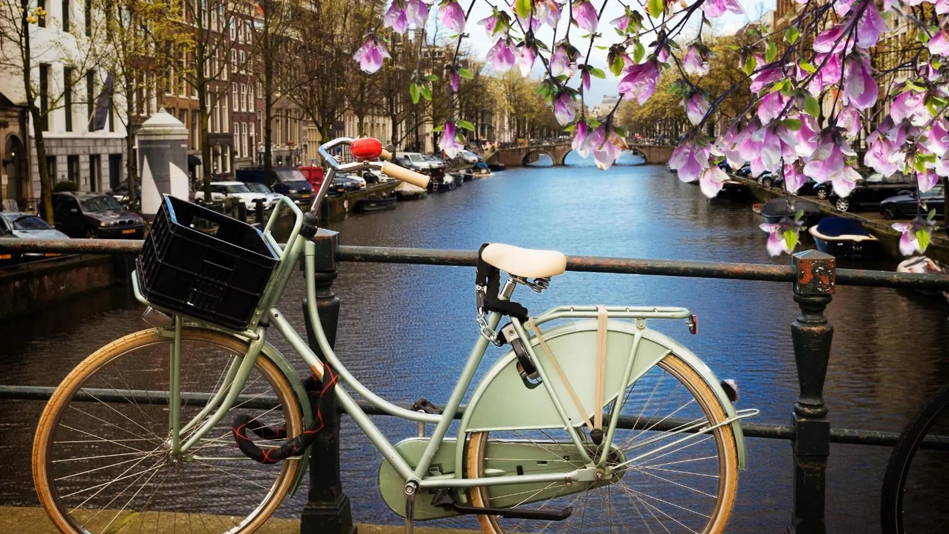 Tulip House Luxury Apartment - Top Location - Rijksmuseum - Leidseplein Amsterdam Central 120 M2 All Private With Kitchen 0*,  Netherlands